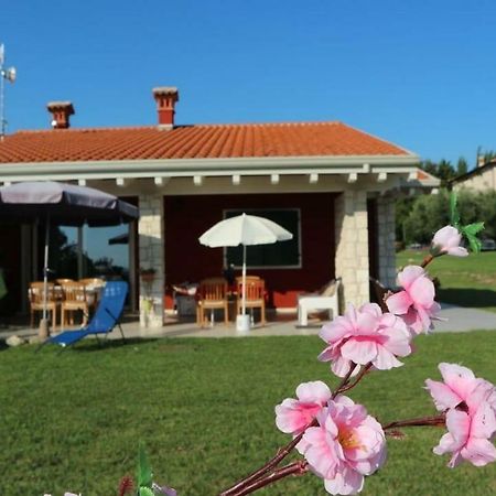 Rosa Dei Venti Sul Garda Leilighet Bardolino Eksteriør bilde