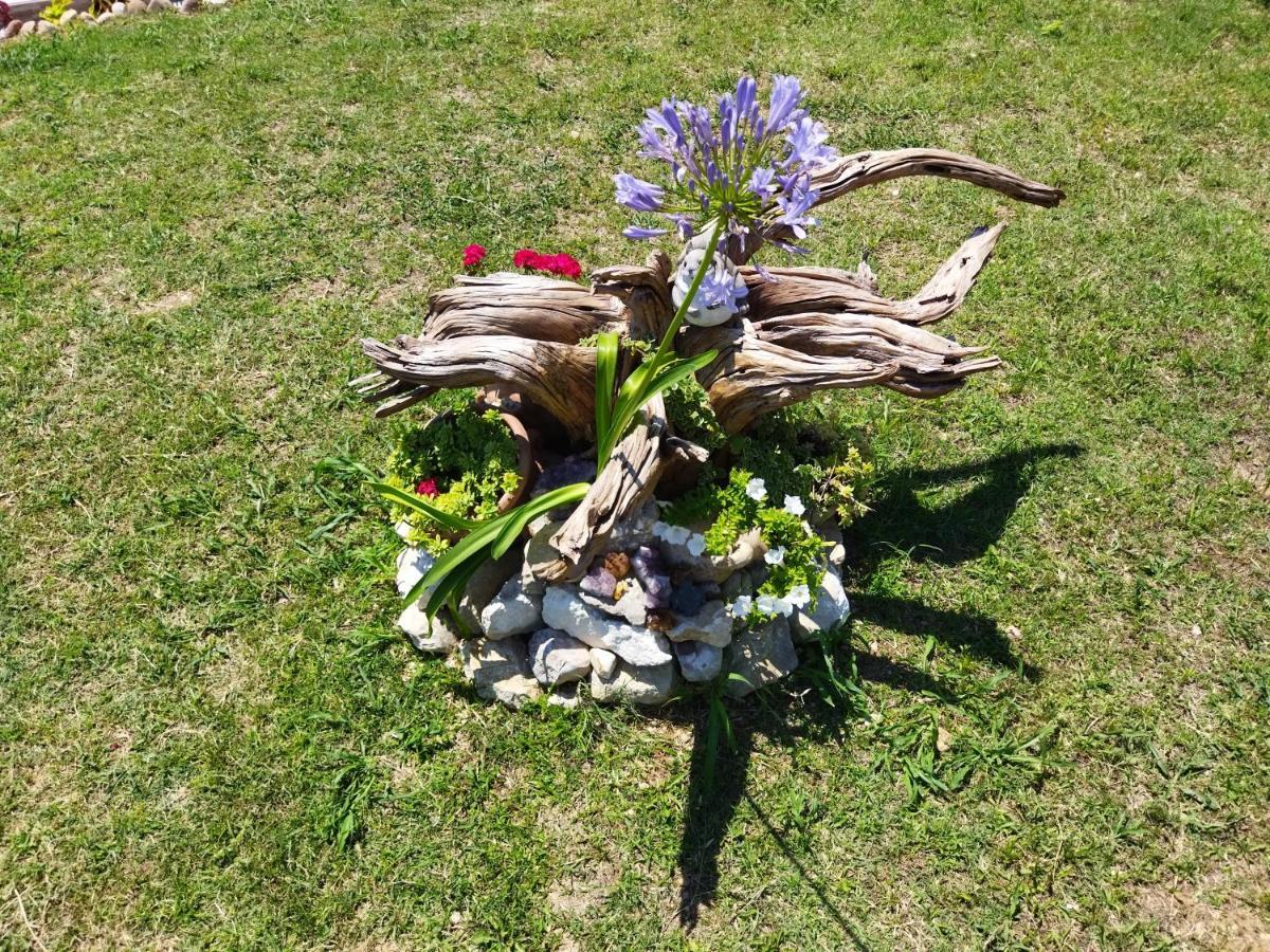 Rosa Dei Venti Sul Garda Leilighet Bardolino Eksteriør bilde
