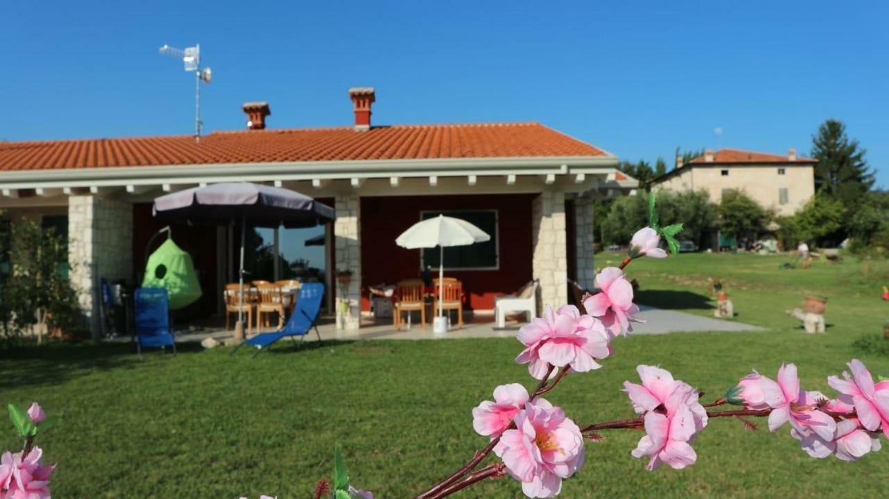 Rosa Dei Venti Sul Garda Leilighet Bardolino Eksteriør bilde
